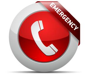 emergency recovery